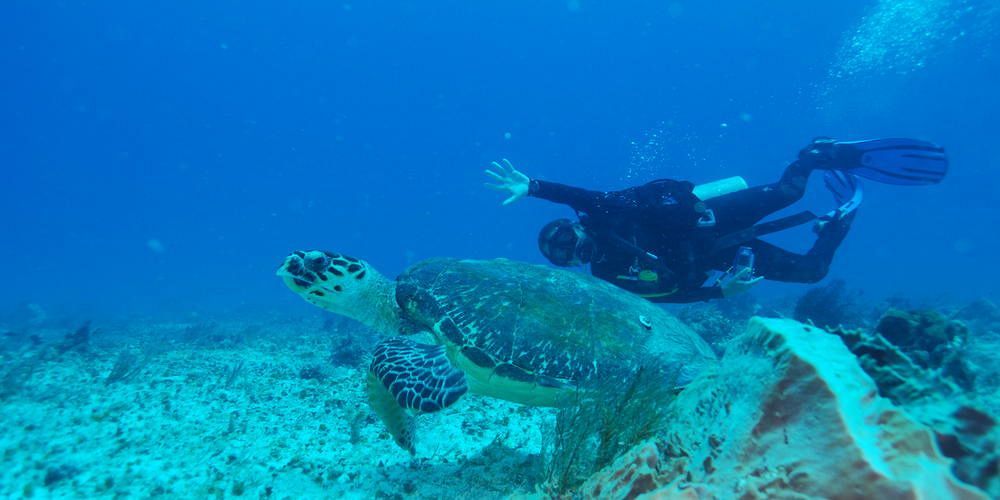 Yemaya Reefs, A Small Luxury Hotel 小玉米岛 外观 照片